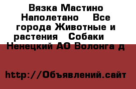 Вязка Мастино Наполетано  - Все города Животные и растения » Собаки   . Ненецкий АО,Волонга д.